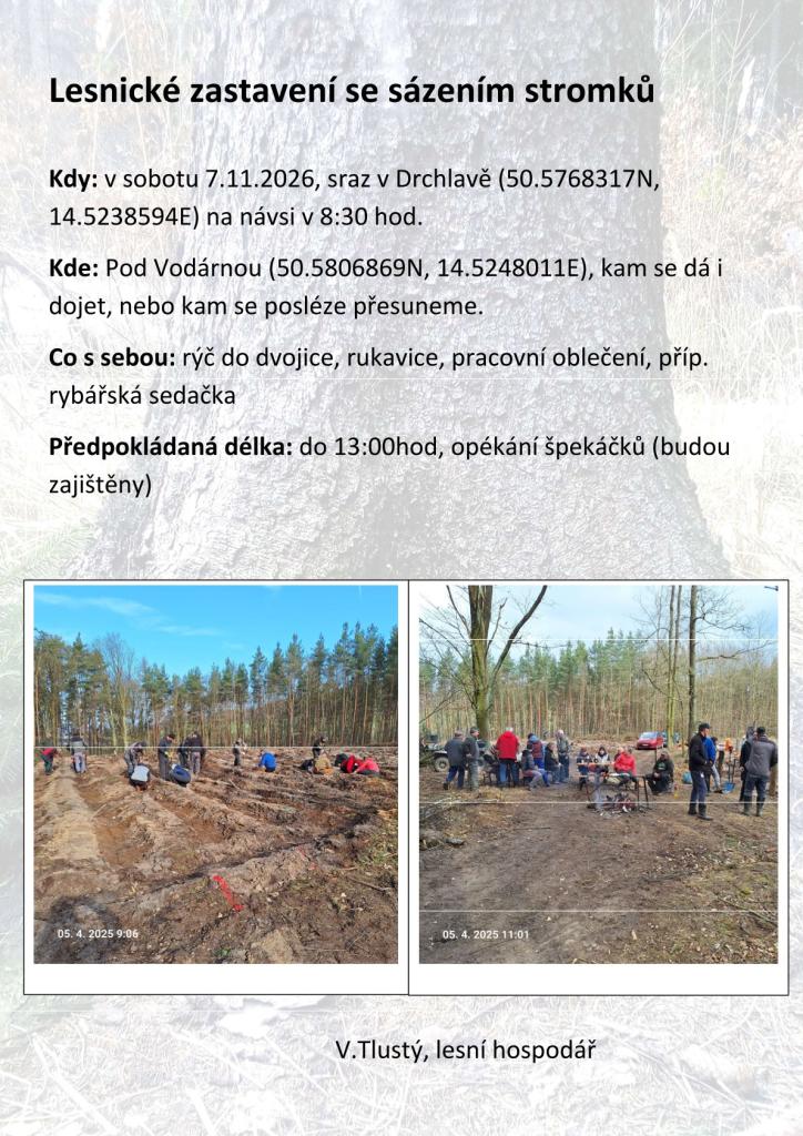 sázení stromků v přírodě
